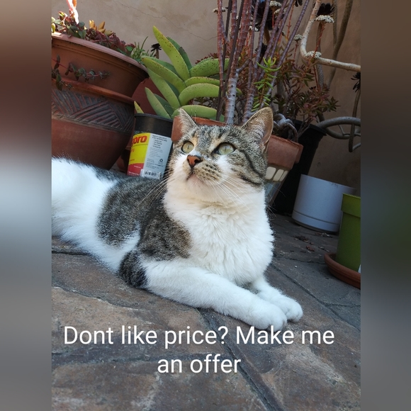 Dont like my price? Make me a reasonable offer! - Picture 1 of 1